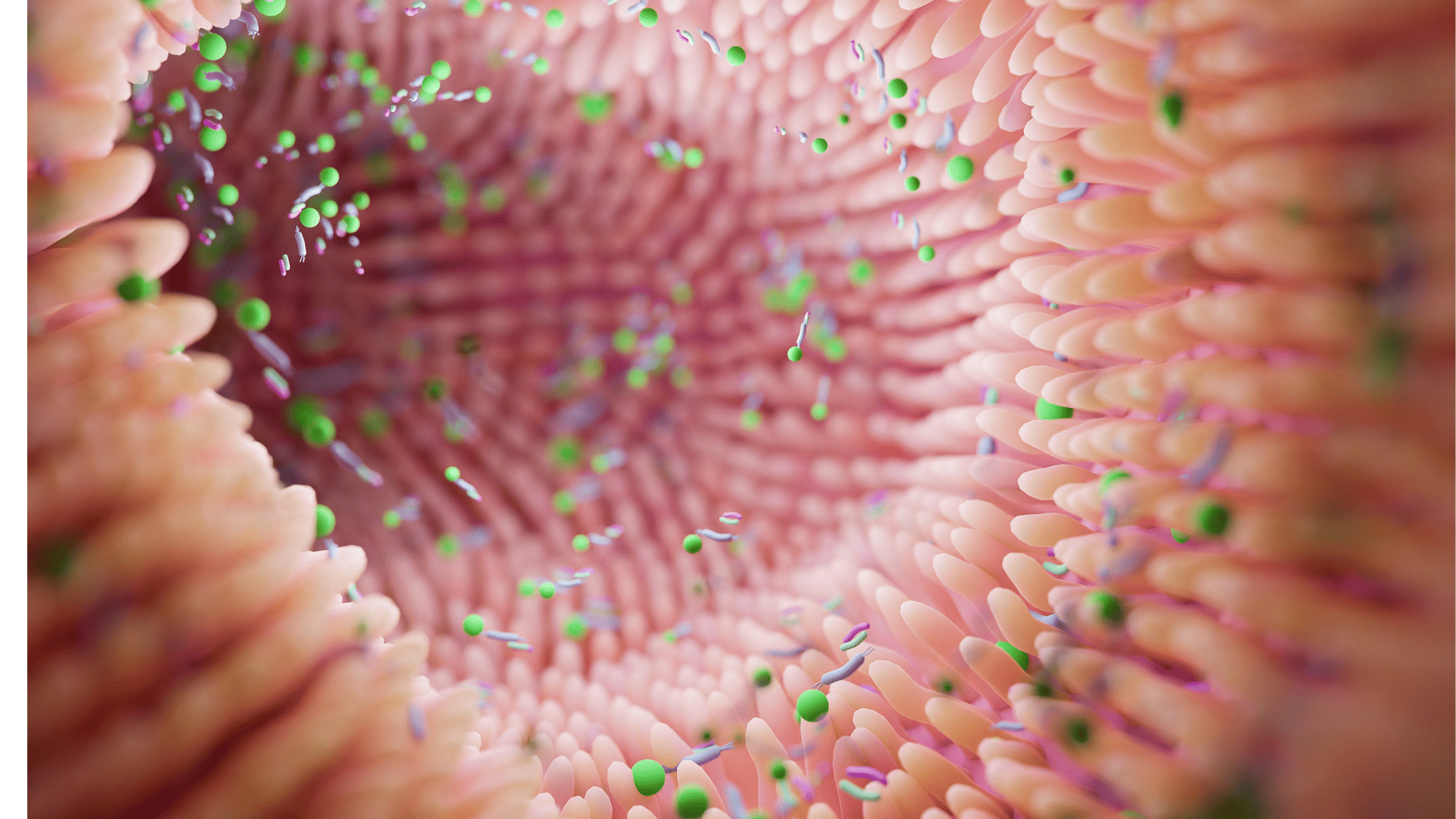 El microbioma vaginal: una barrera invisible clave para la salud íntima